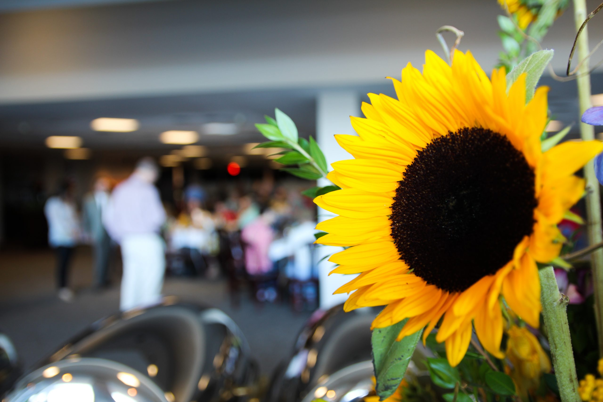 Close up of sunflower table arrangement at the Award Ceremony