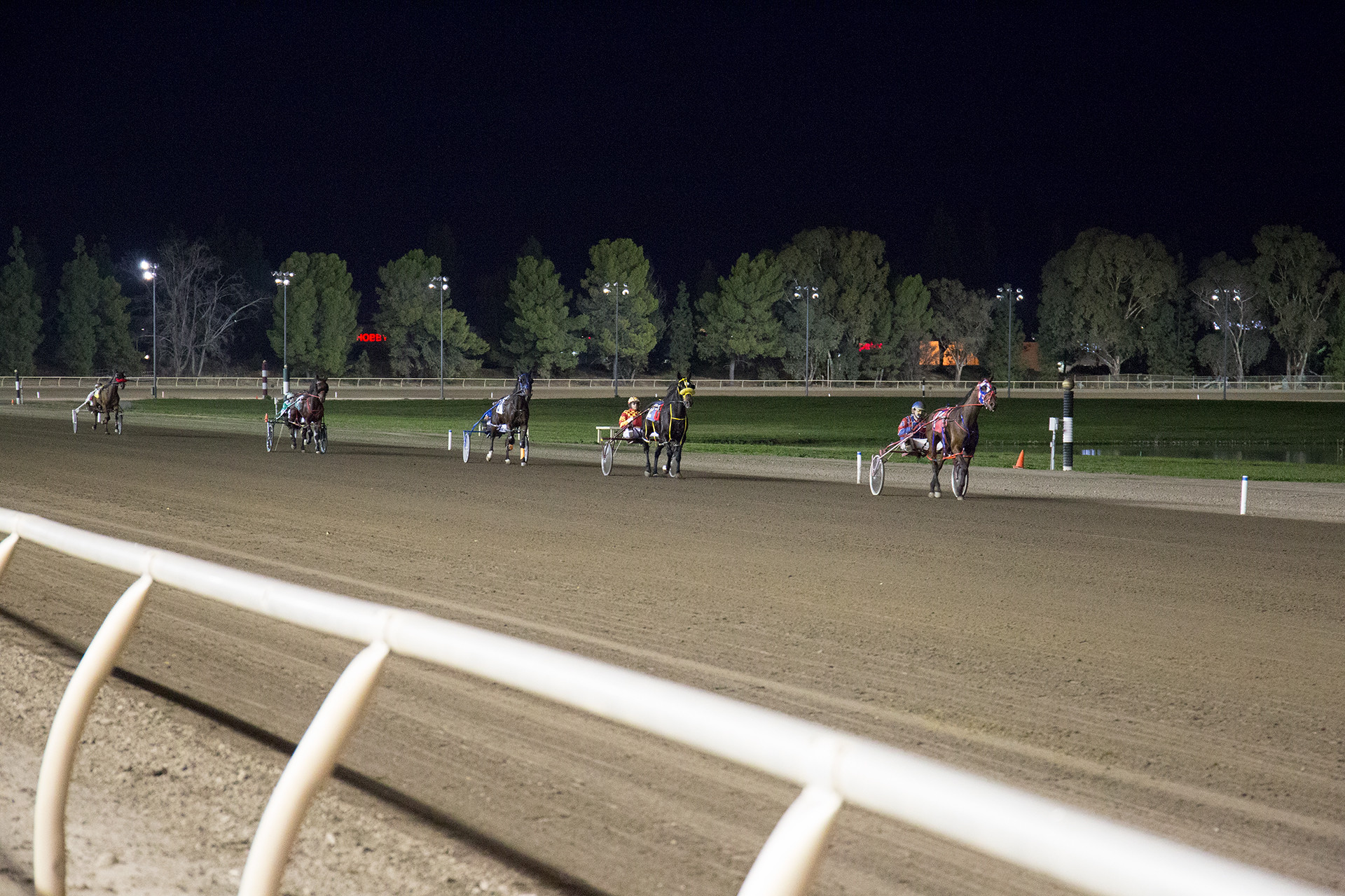 Night time harness racing. A line of racers.