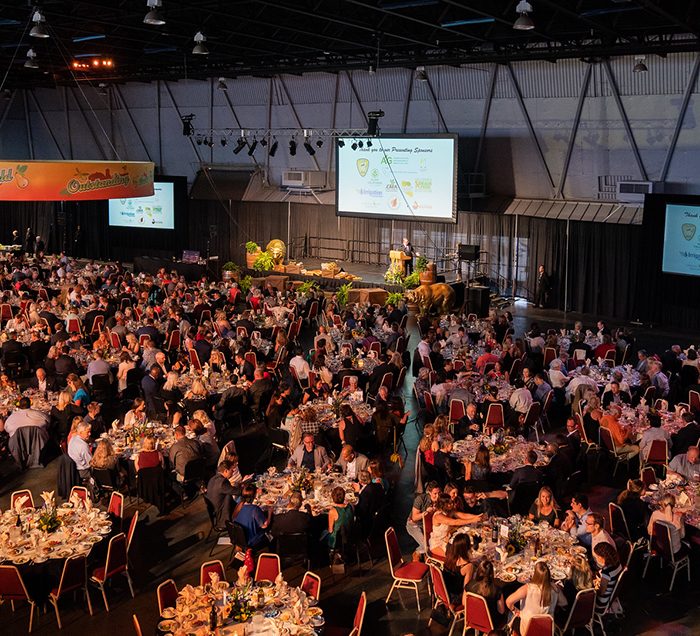 CA State Fair Gala Dinner. Wide shot of a large room filled with tables, chains, and people. Dark lighting.