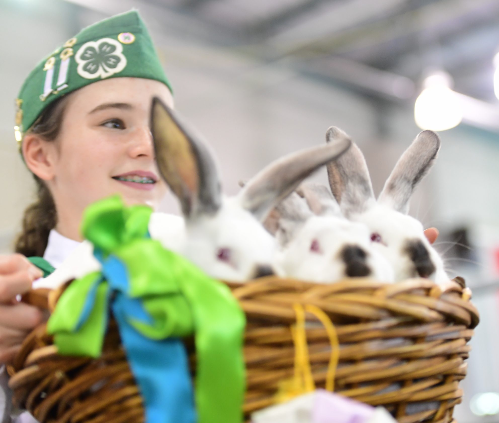 Little girl holding a basket of rabbits