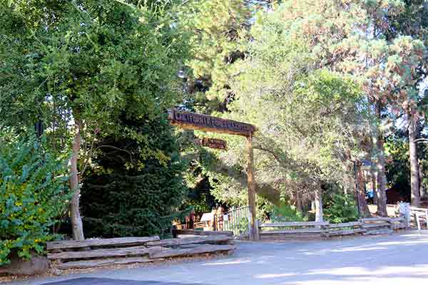 CA Forest Center