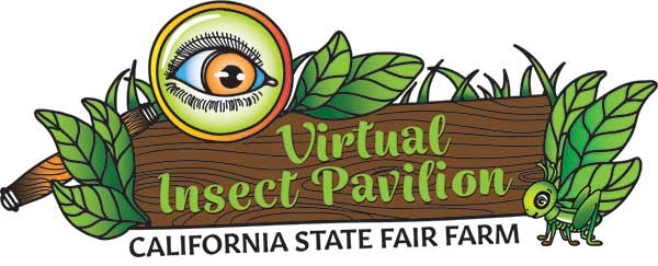Virtual Insect Pavilion Logo
