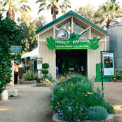 Insect Pavilion at CA State Fair