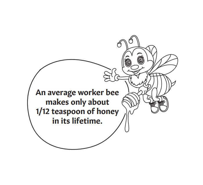 illustrated cartoon bee holding a honey dipper with a fun bee fact