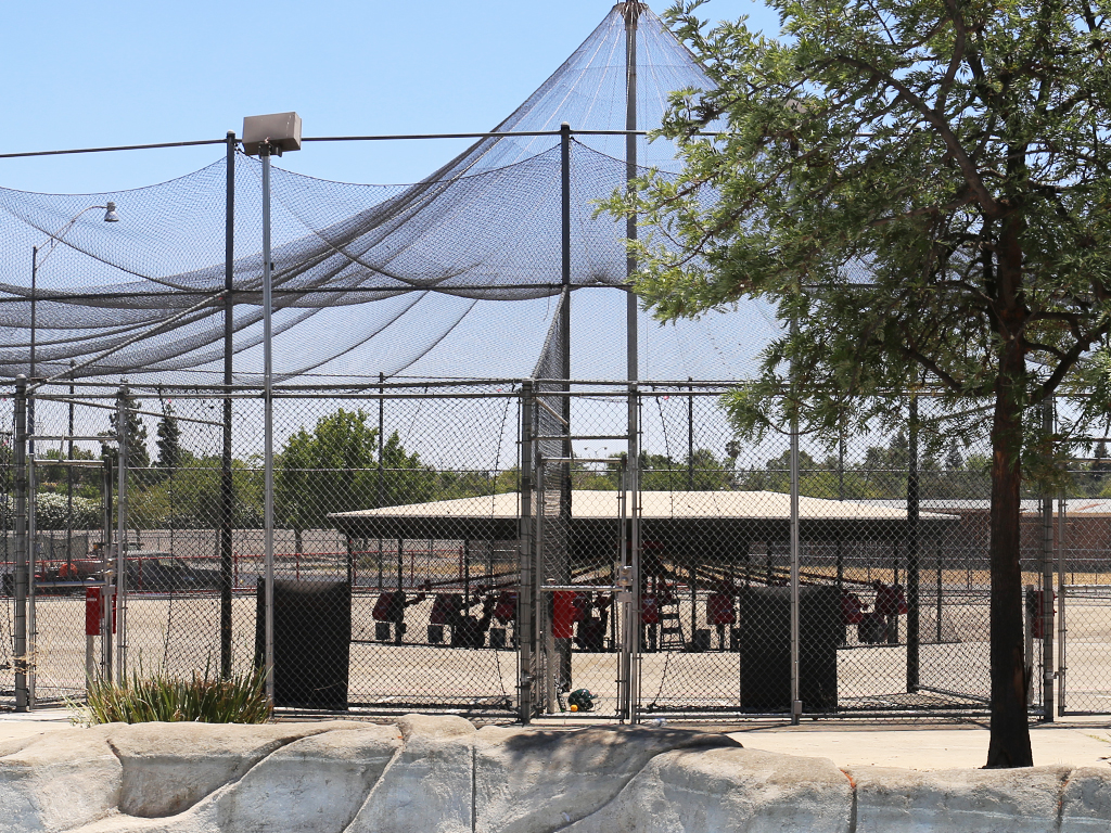 Batting Cages at Rock & Brews Cal Expo
