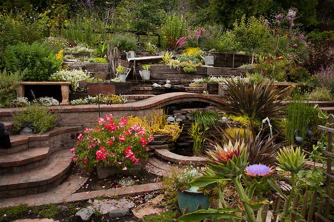 garden flowers